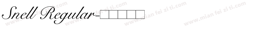 Snell Regular字体转换